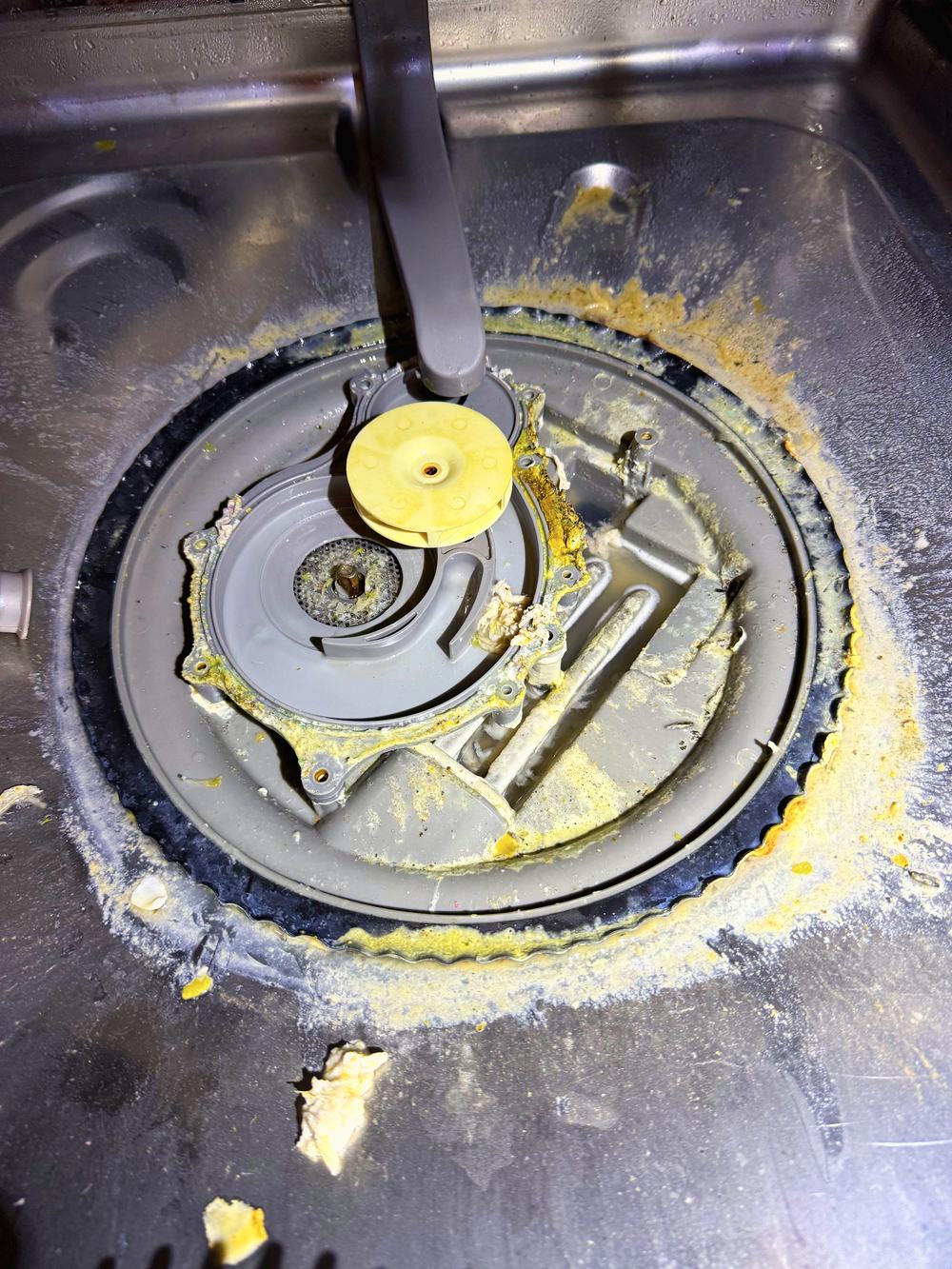 Appliance Rescue Team technician clearing a clogged dishwasher filter and sump in Bergen County, NJ